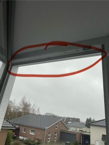 IMG_1786.jpeg