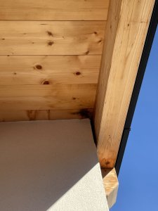 IMG_6312.jpeg
