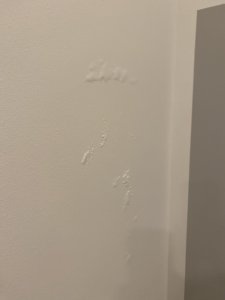 IMG_2753.jpeg