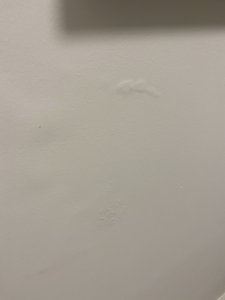 IMG_2746.jpeg