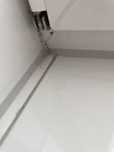 IMG_1842.jpeg