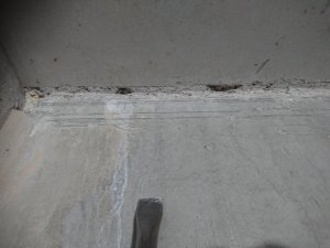 IMG_20231230_231810.jpg