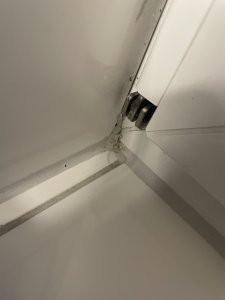 IMG_1845.jpeg