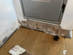 IMG_0697.jpeg