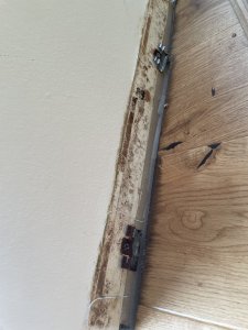IMG_0701.jpeg