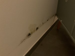 IMG_0977.jpeg
