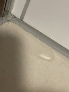 IMG_1850.jpeg