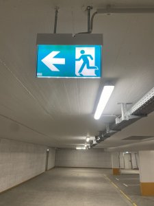 IMG_3365.JPG