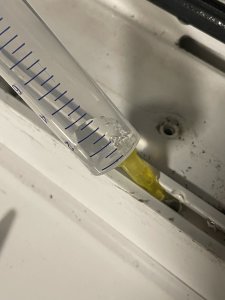 IMG_1851.jpeg