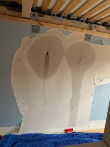 IMG_7820.jpeg