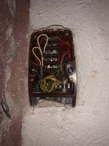IMG_3546.jpeg