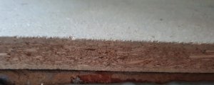 20240107_103252.jpg