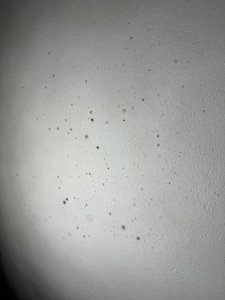 IMG_8059.jpeg