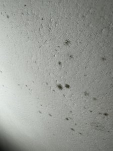 IMG_8066.jpeg