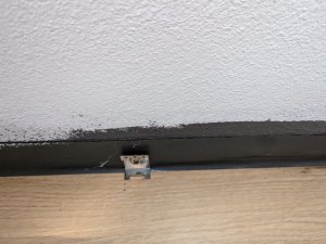 PXL_20240108_221903031.jpg