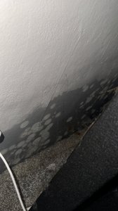 01CC6624-A8A6-4C96-B519-36A2BD59320C.jpeg