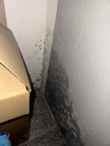 IMG_2300.jpeg