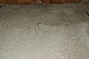 Screenshot 2024-01-10 073516.png