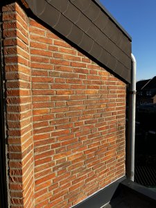 IMG_0866.jpeg