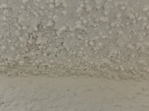 IMG_4155.jpeg