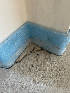 WhatsApp Image 2024-01-11 at 12.08.47.jpeg