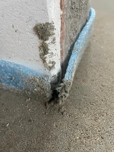 WhatsApp Image 2024-01-11 at 17.12.54.jpeg