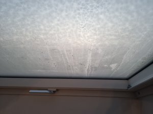 20240110_082026.jpg
