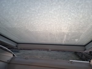 20240110_082042.jpg
