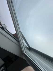IMG_9424.JPEG