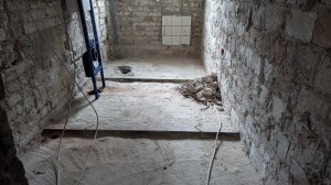 PXL_20240113_110812816.jpg