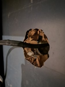 IMG_20240113_163548.jpg