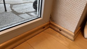 IMG_4678.jpeg