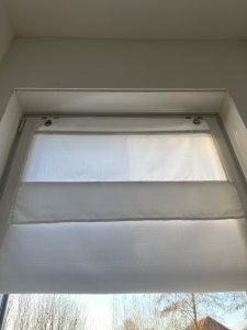 IMG_2865.jpg