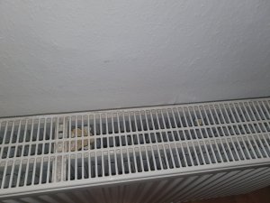 20240118_223231.jpg