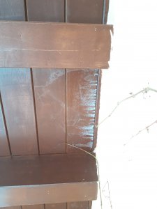 IMG-20240119-WA0007.jpg