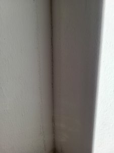 20240111_135036.jpg