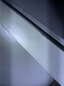 IMG_1944.jpeg