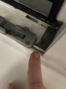 IMG_1949.jpeg