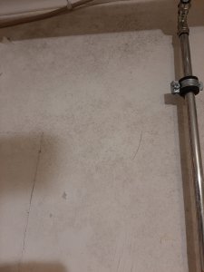 20240124_064205.jpg