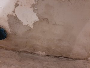 20240124_064138.jpg