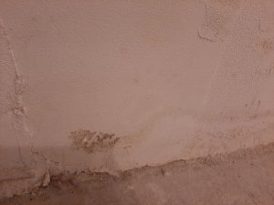 20240124_064053.jpg