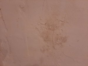 20240124_064047.jpg
