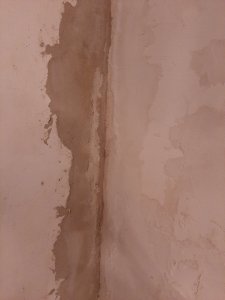 20240124_064040.jpg