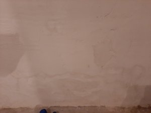 20240124_064033.jpg