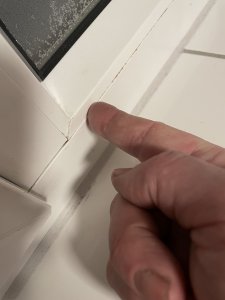 IMG_1950.jpeg