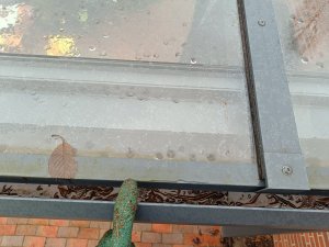 IMG_20240114_142627.jpg