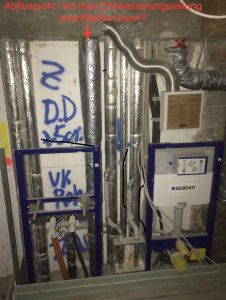 IMG_3466.jpeg