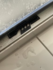 IMG_1960.jpeg