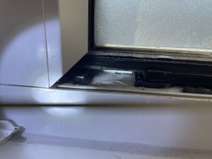 IMG_1962.jpeg