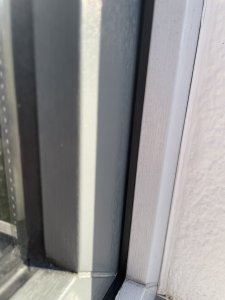 IMG_1964.jpeg